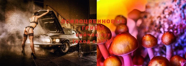 PSILOCYBIN Абдулино