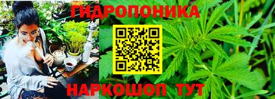 твердый Ярославль