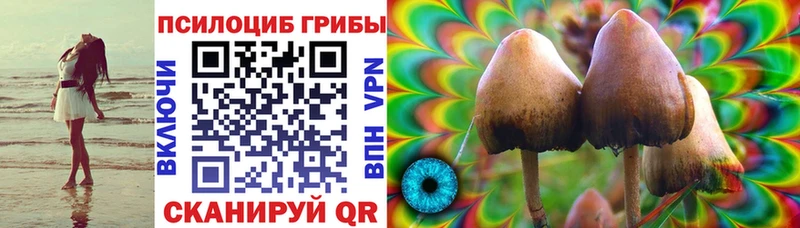 Галлюциногенные грибы Cubensis  Великий Новгород 