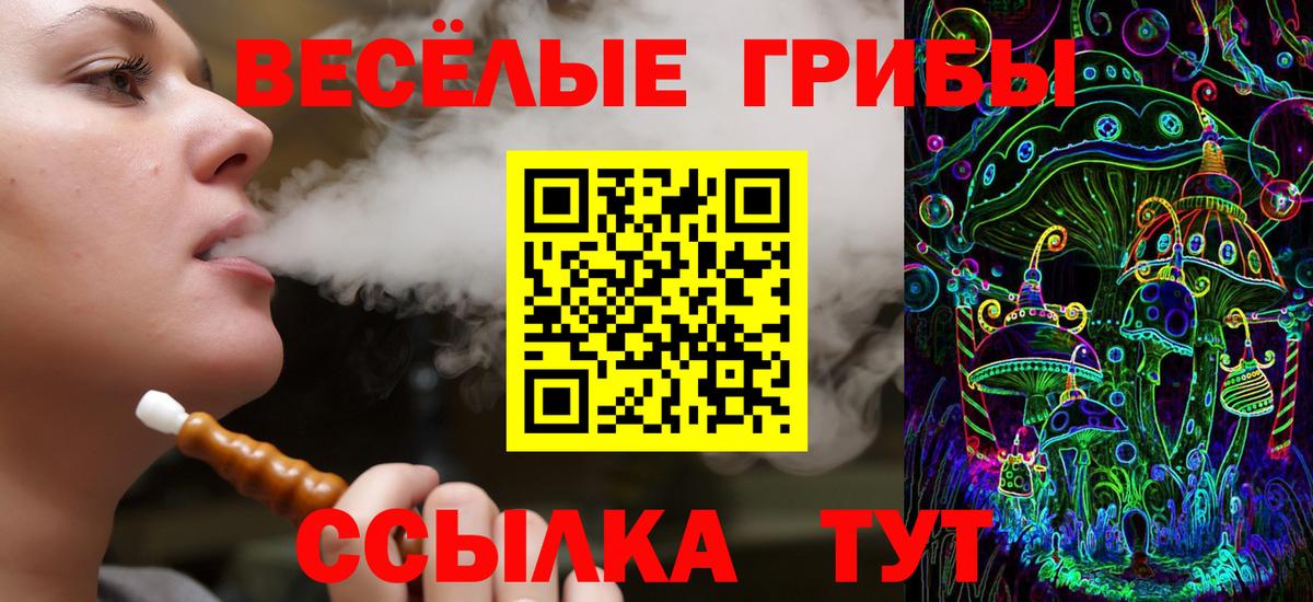 Галлюциногенные грибы Psilocybe Великий Новгород