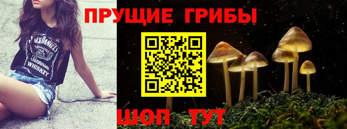 Псилоцибиновые грибы Psilocybine cubensis  наркотики  Вход с VPN  Великий Новгород  Галлюциногенные грибы Psilocybe 