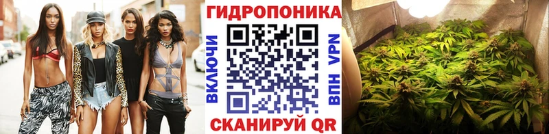 Каннабис Amnesia  МЕГА ТОР  Великий Новгород 